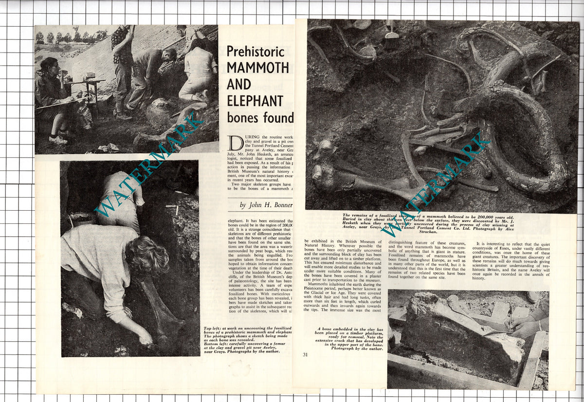 John Hesketh Geologist Aveley Essex Tunnel Portland Cement Company  1964 Article