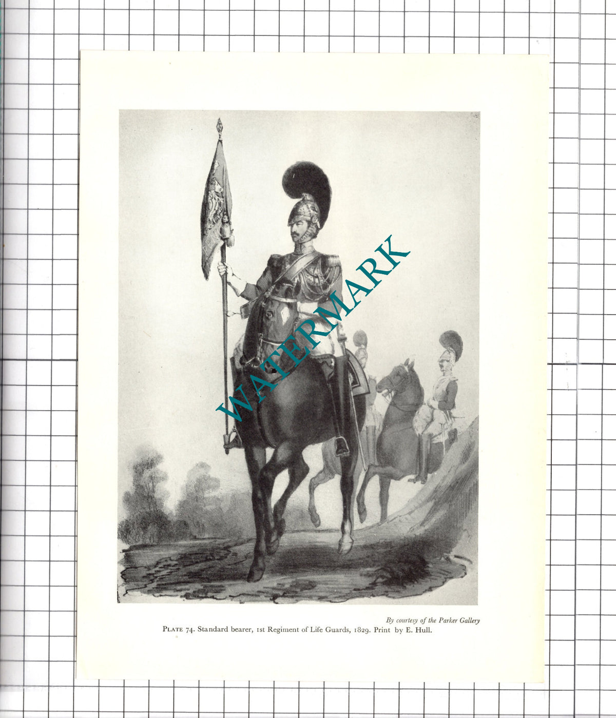 1st Regiment of Life Guards 1829 Standard Bearer  - 1957 Clipping / Print