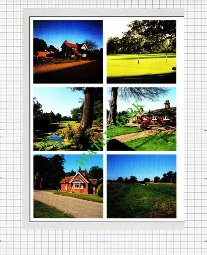 The Dell Park Estate Surrey Galen Weston Sale Advert - 1991 Two-Part Cutting
