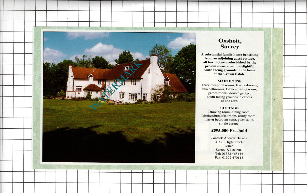 Crown Estate Oxshott Surrey House Sale Advert - 1994 Cutting