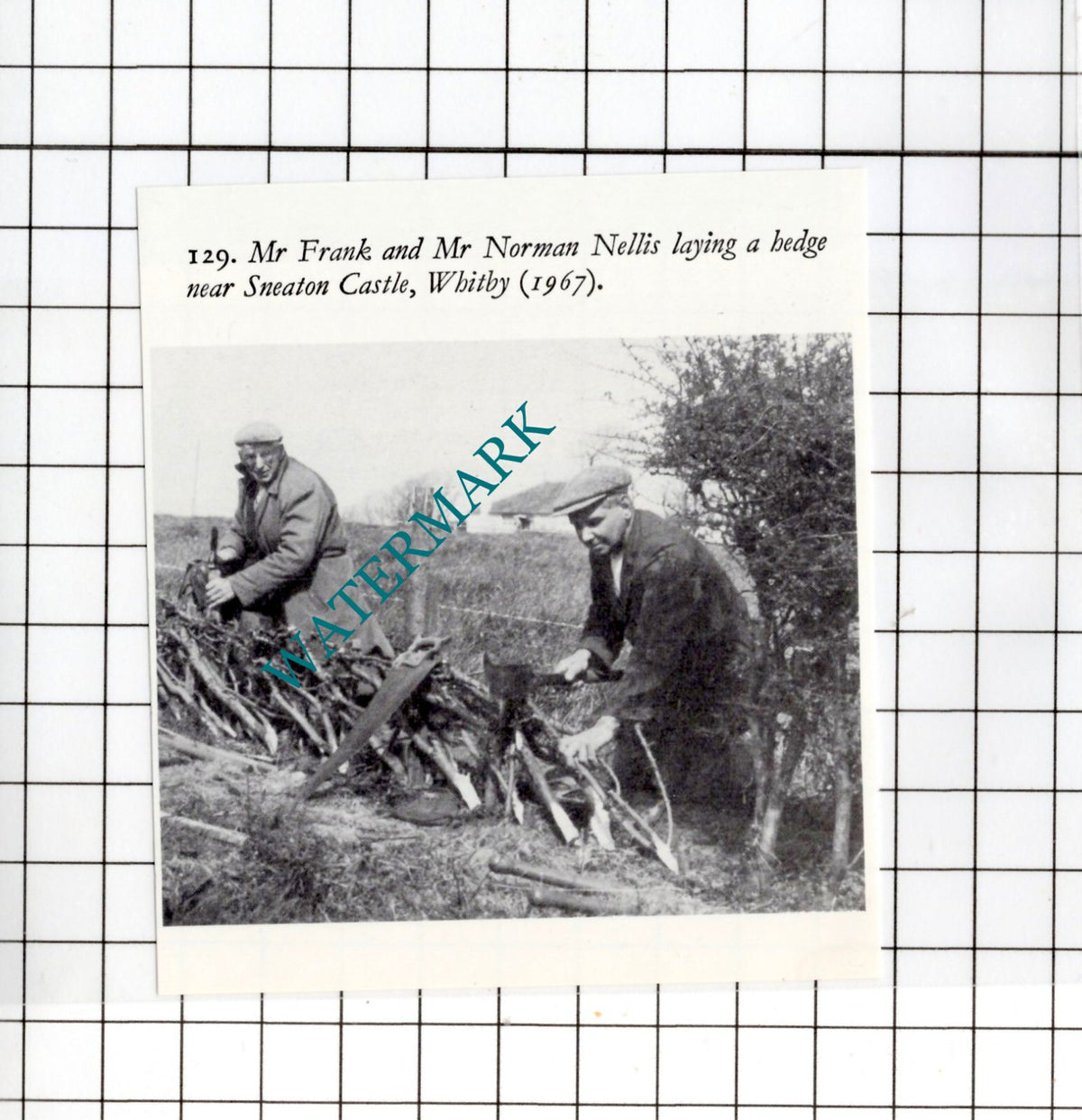 Mr Frank Mr Norman Nellis Sneaton Castle Whitby Yorkshire   -  Small Clipping