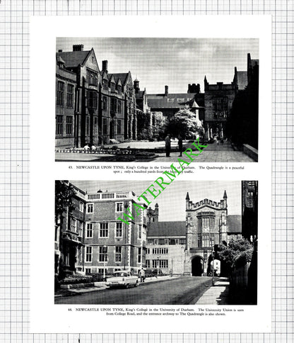 Newcastle Upon Tyne Bridge / King's College University of Durham - 1958 Cutting