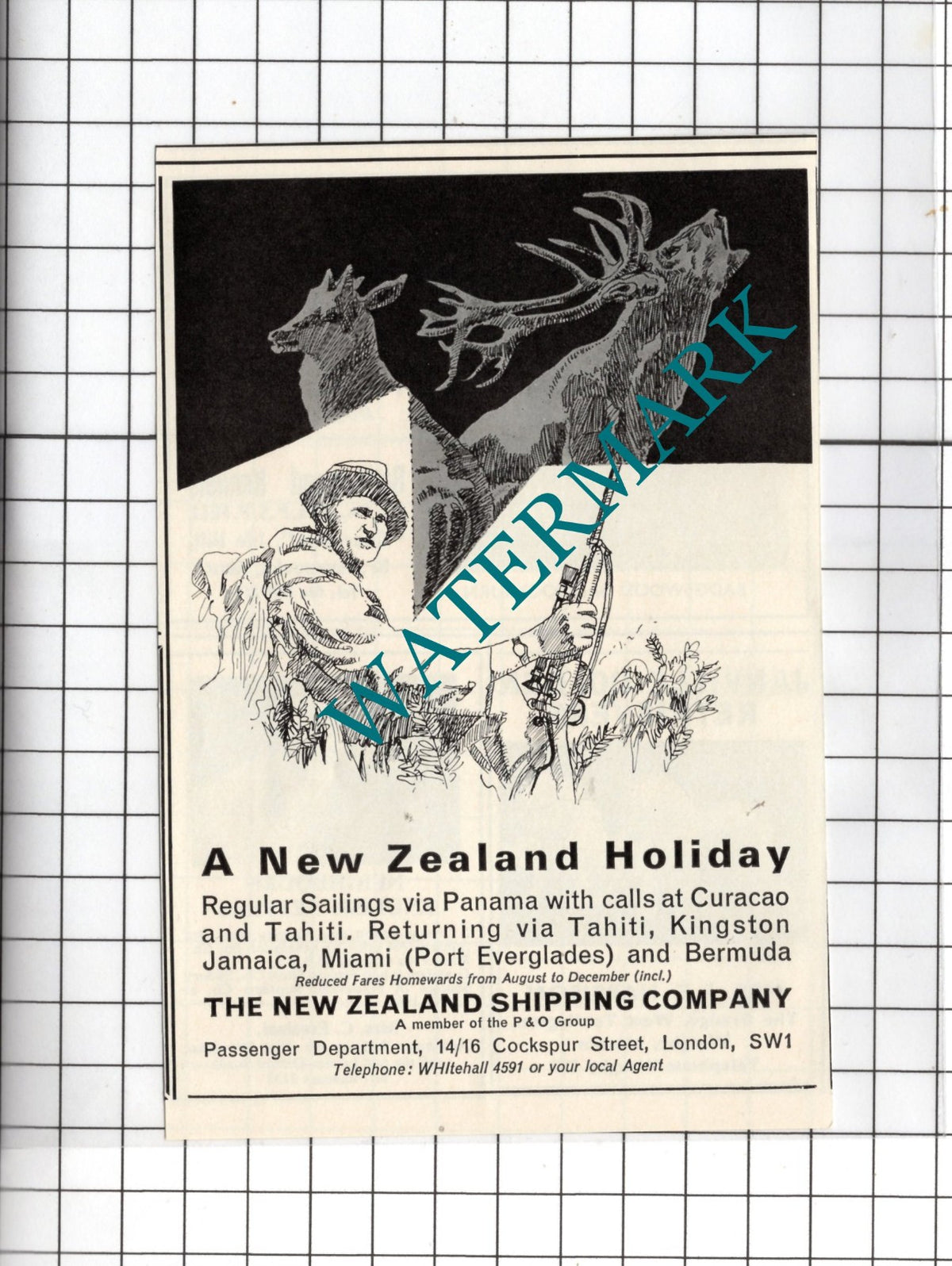 The New Zealand Shipping Company Small Advert - 1967