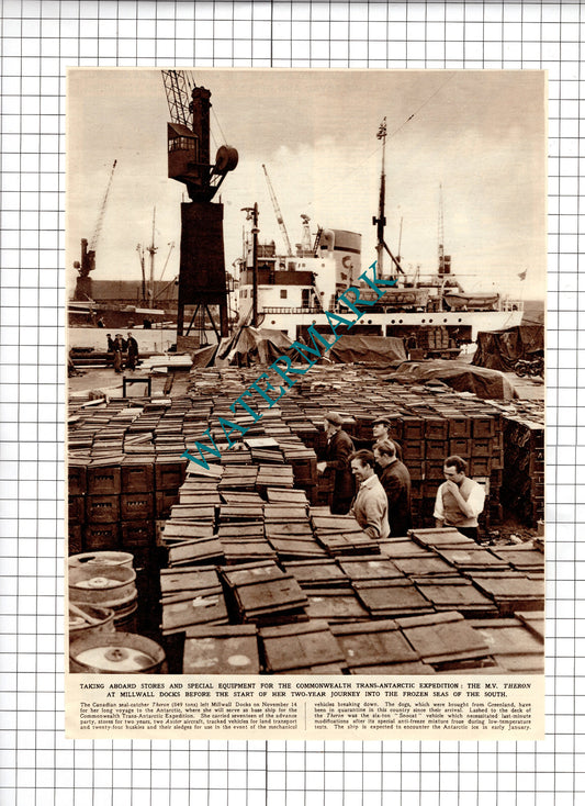 The MV THERON Canadian Seal Catcher Ship Trans-Antarctic - 1955 Cutting