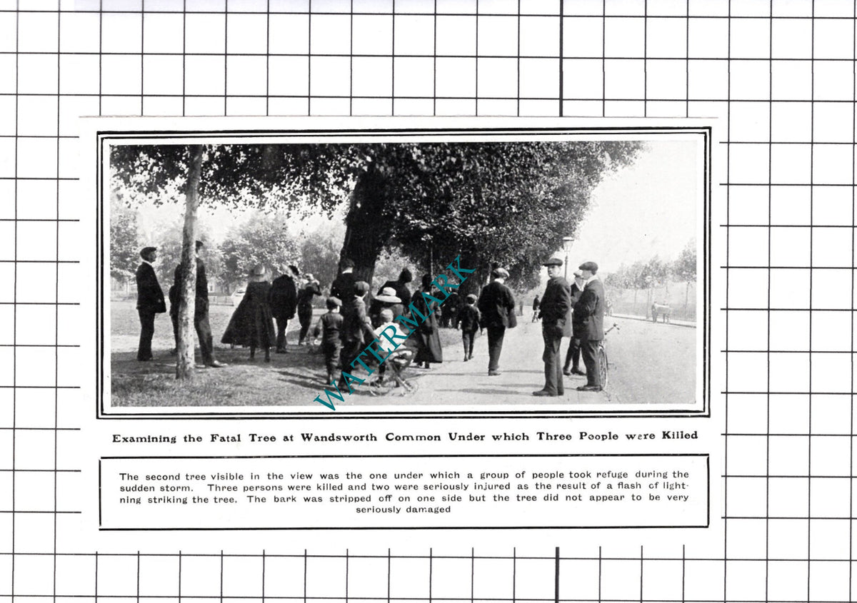 Wandsworth Common Tree Lightning Deaths - 1914 Small Cutting