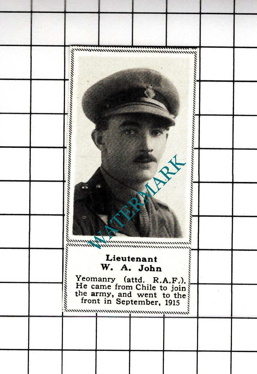 Lt W A John Yeomanry Great War WW1 -  1919 SMALL Cutting