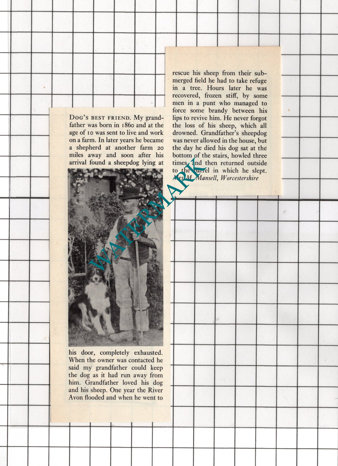 Mrs M Mansell Worcestershire  - 1972 SMALL Cutting