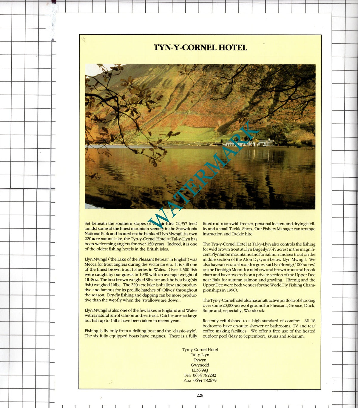 Tyddyn Llan Hotel Llandrillo Clywd / Tyn-y-Cornel Hotel Tywyn Advert - 1991