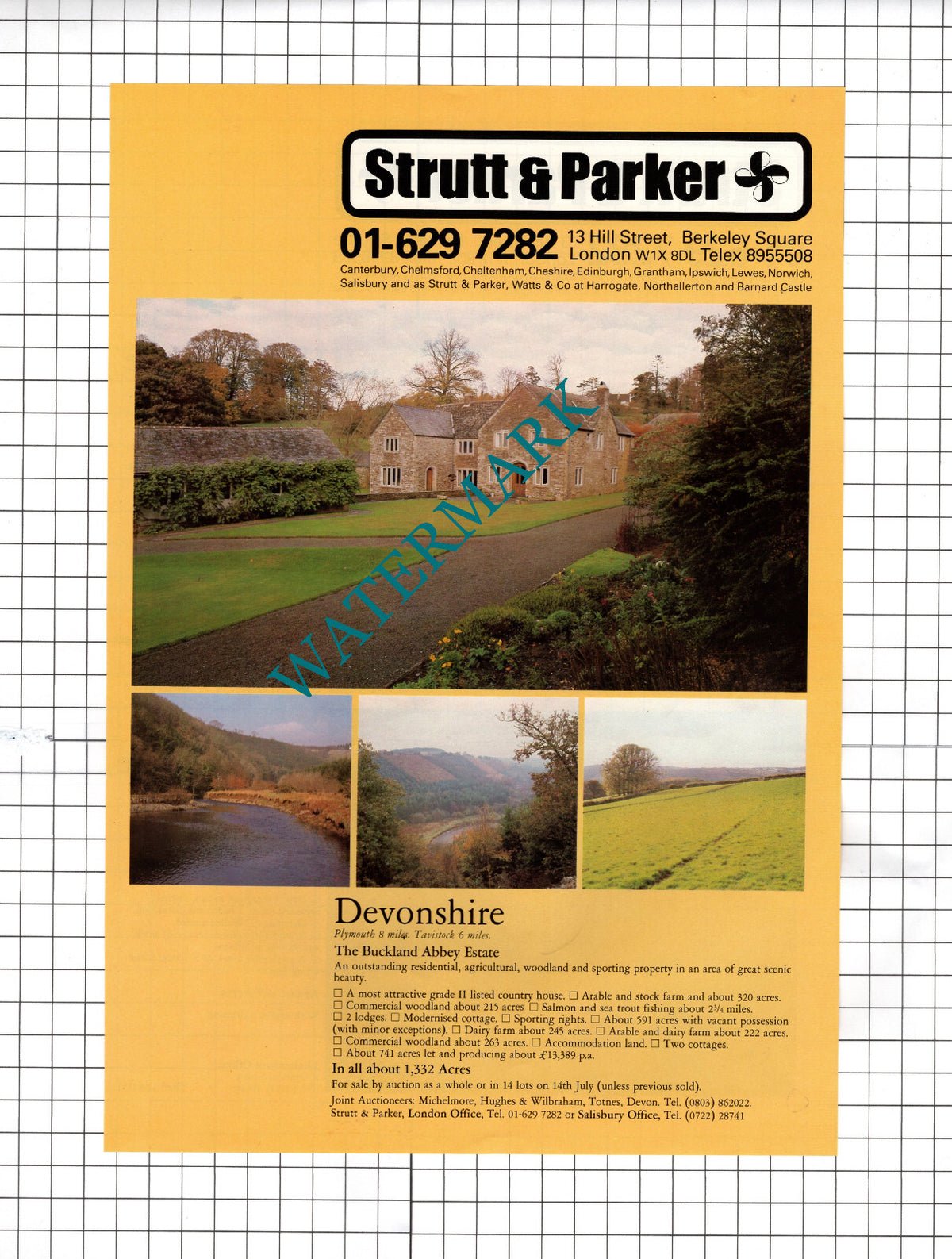 The Buckland Abbey Estate Devonshire House Sale Advert - 1981 Cutting