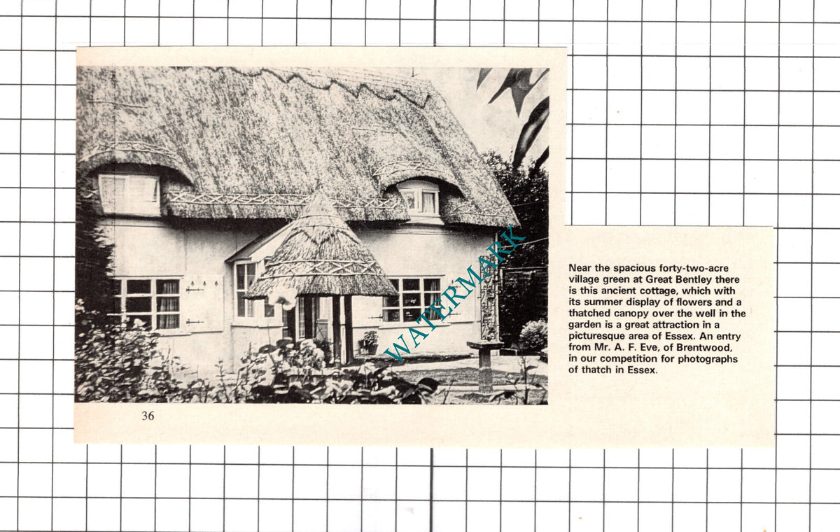Great Bentley Essex Cottage  - 1972 Clipping