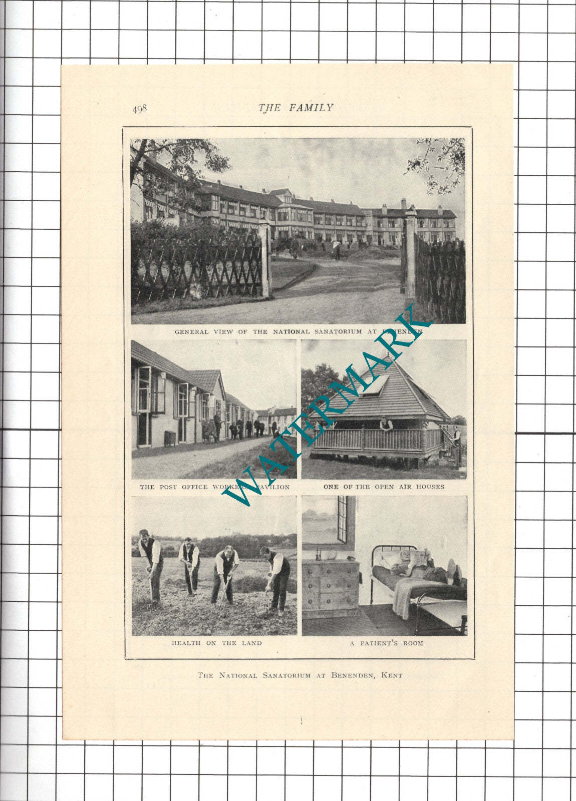The National Sanatorium  Benenden Kent - c.1914 Cutting