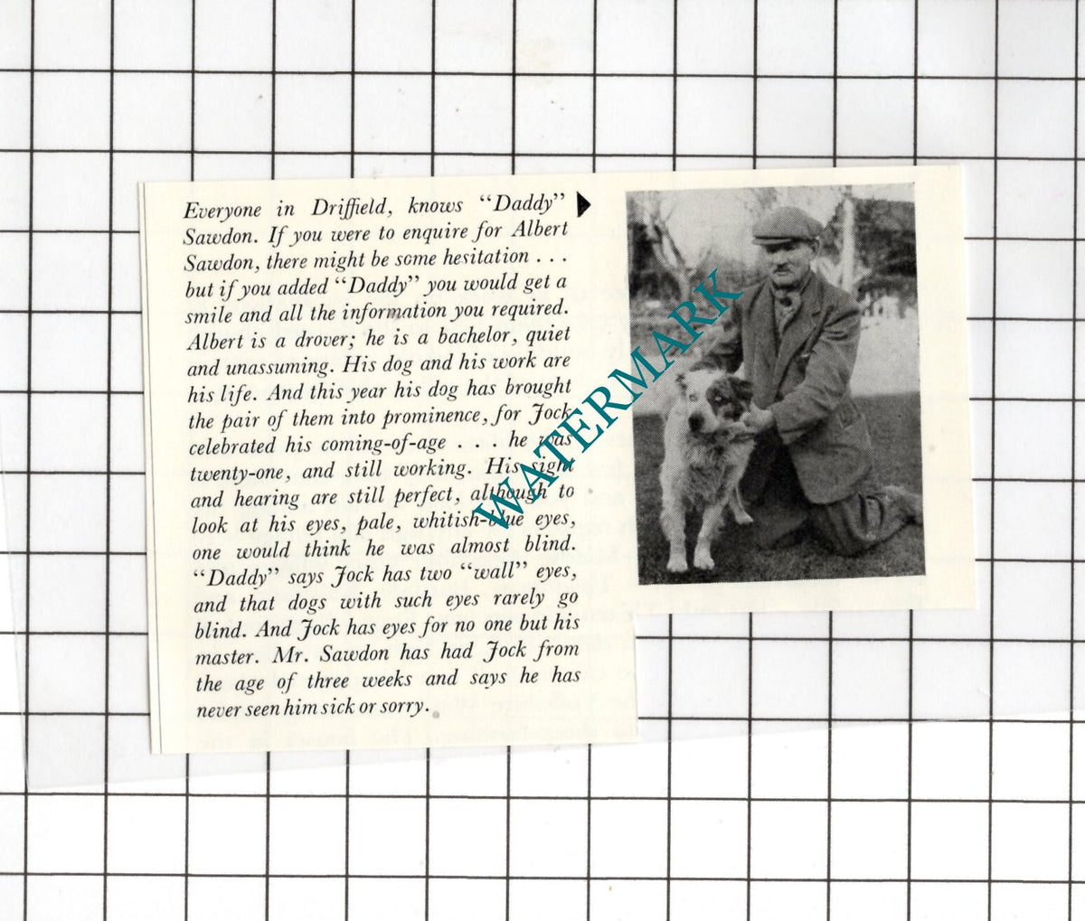 Daddy Sawdon Albert Sawdon Driffield Yorkshire  - 1957 Small Clipping