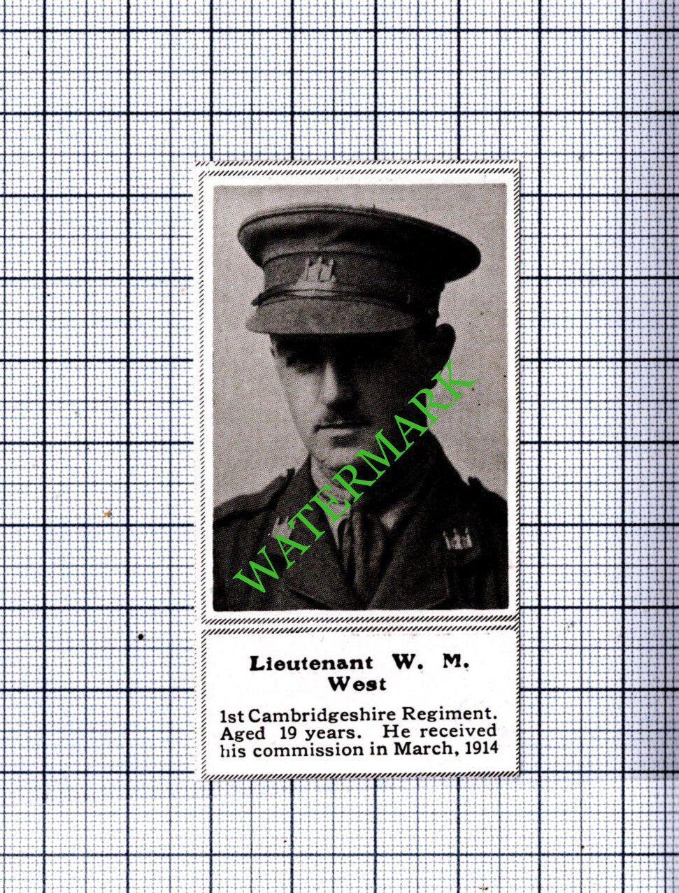 Lt W M West 1st Cambridgeshire Regiment Great War WW1 - 1915 SMALL Cutting