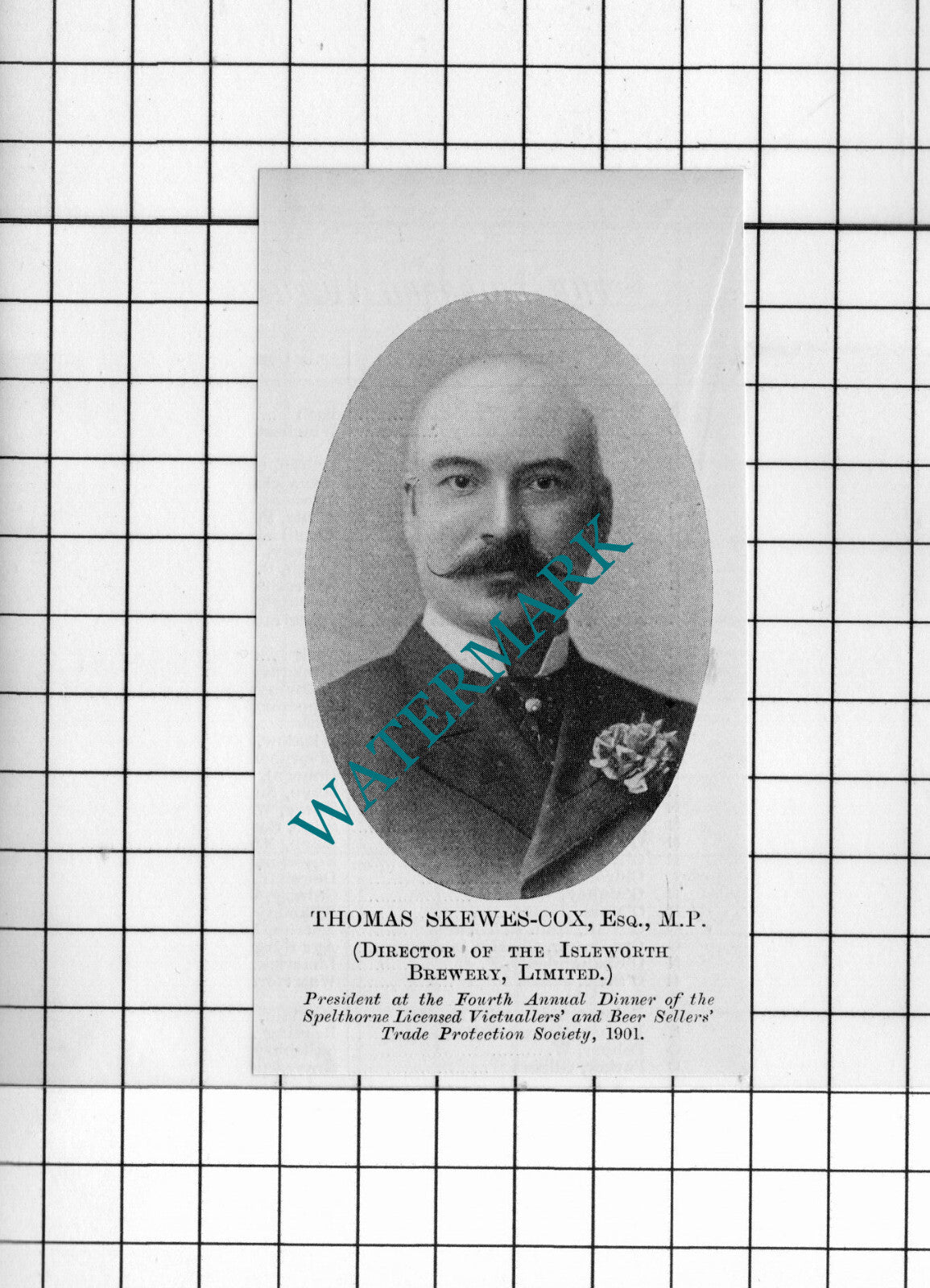 Thomas Skewes-Cox Isleworth Brewery - 1902 Small Cutting