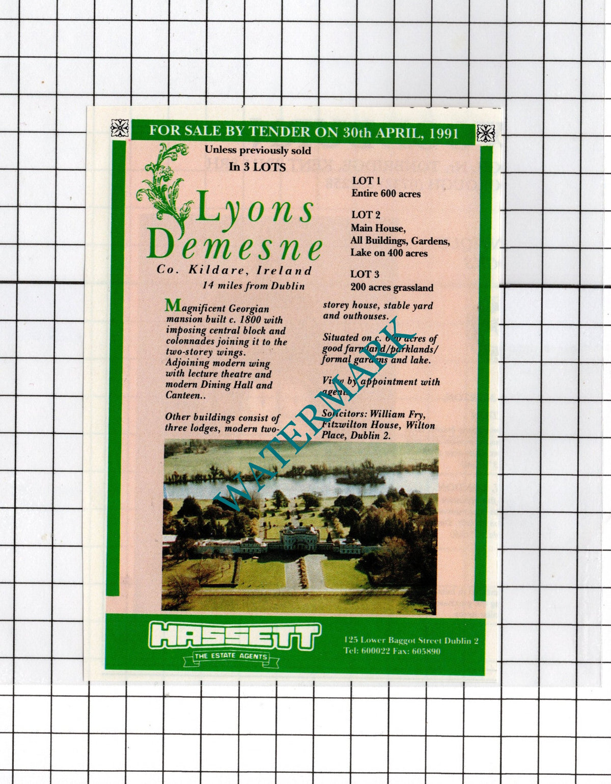 Lyons Demesne Co Kildare Ireland  - 1991 House Sale Advert