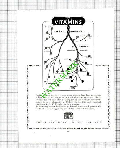 British Aluminium Co Ltd London / Roche Products Advert -1951 Cutting