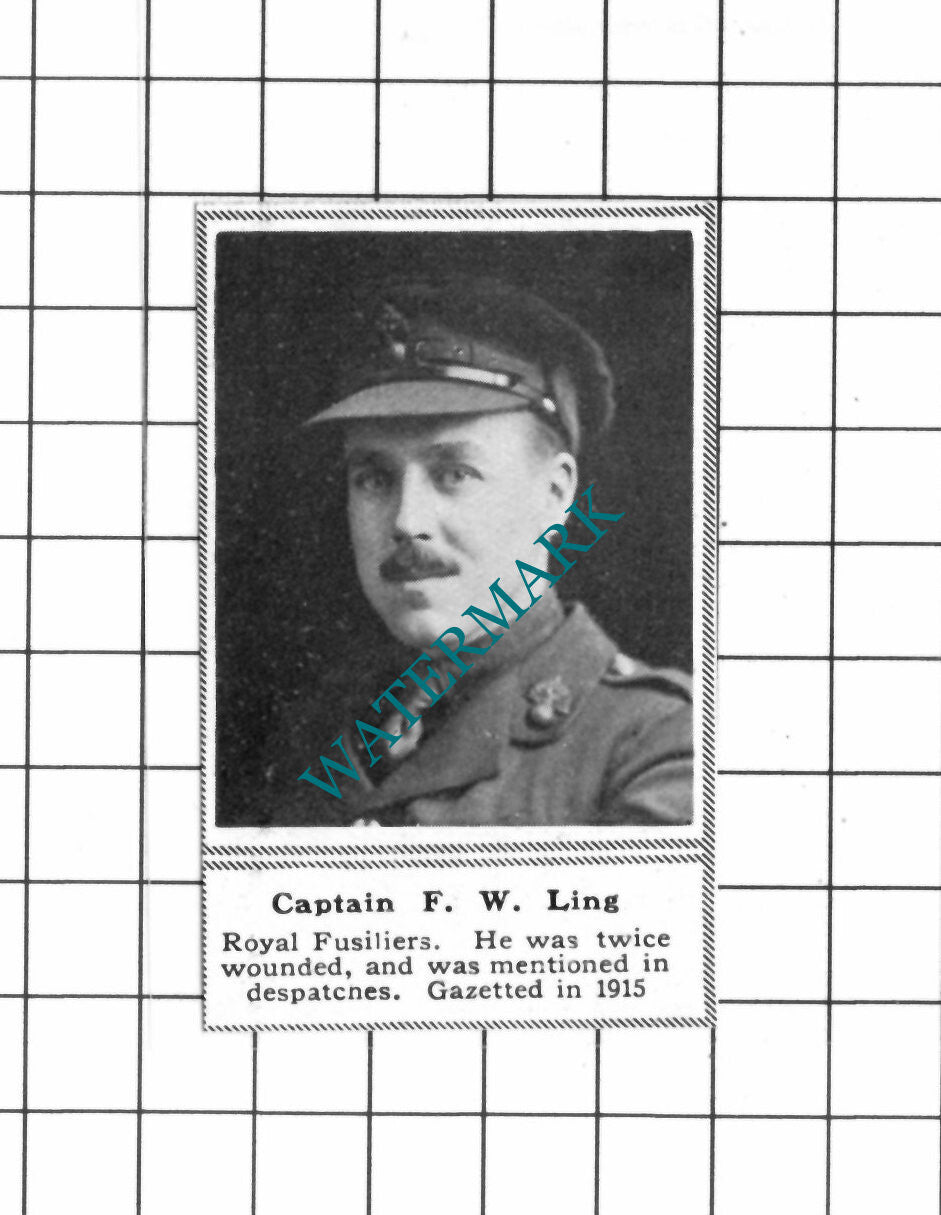 Captain F W Ling Royal Fusiliers WW1 - c.1918 Clipping / Print