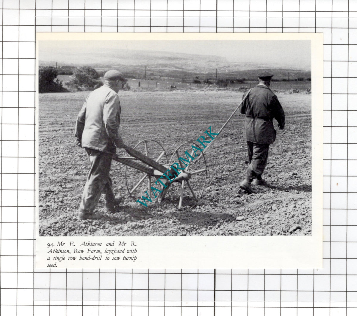 Mr E Atkinson Raw Farm Yorkshire -  Small Clipping