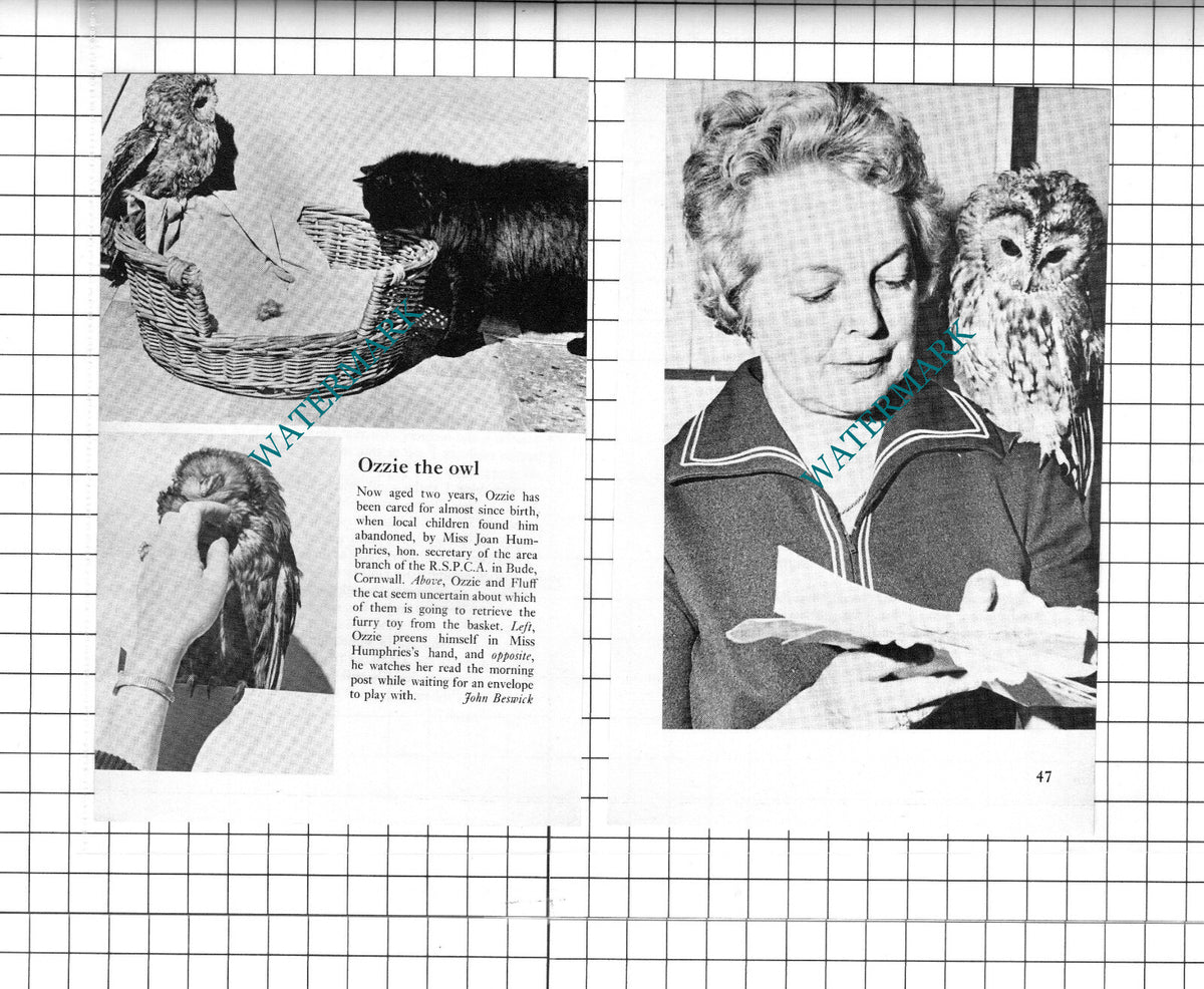 Miss Joan Humphries Bude Cornwall RSPCA - 1972 Two-Part Clipping / Print