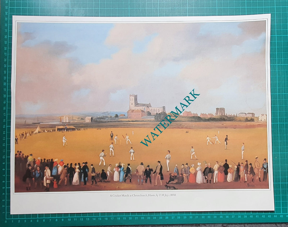 Cricket Match At Christchurch Hants T M Joy - Large 17 x 13"  Print