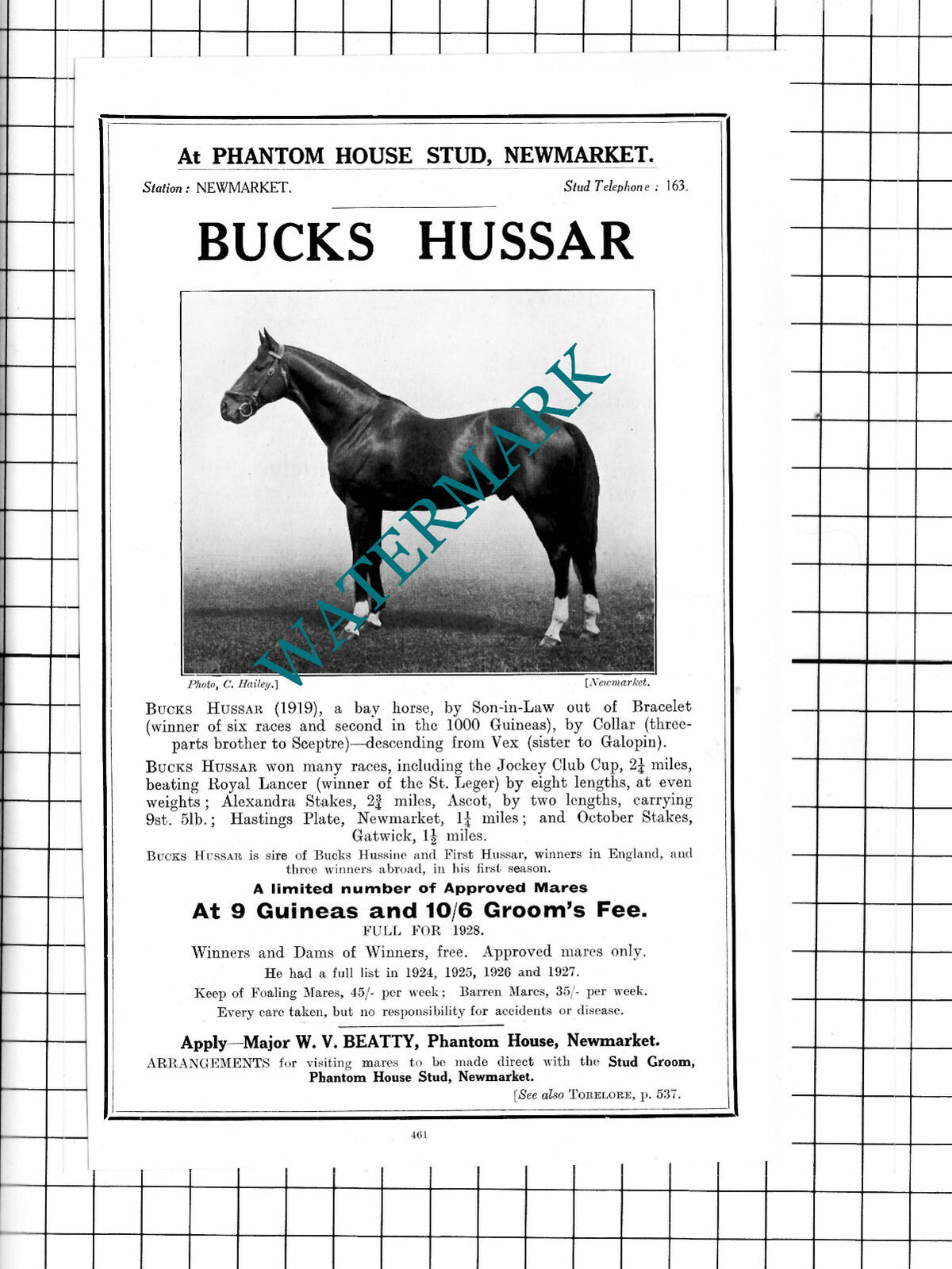Bucks Hussar Racehorse Horse Phantom House Stud Newmarket Advert - 1927 Clipping