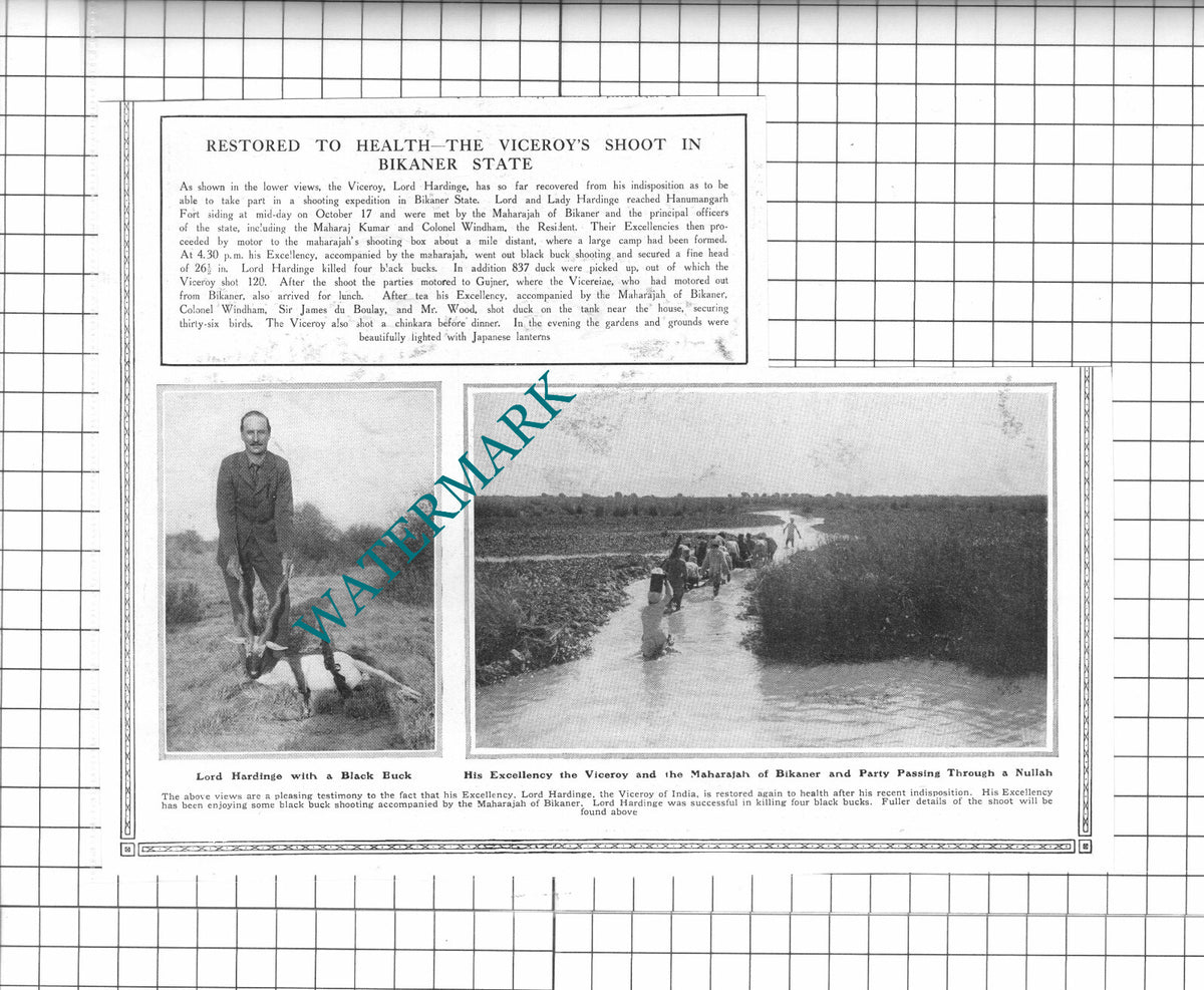 Lord Hardinge Viceroy Of India - 1913 Clipping / Print (see condition)