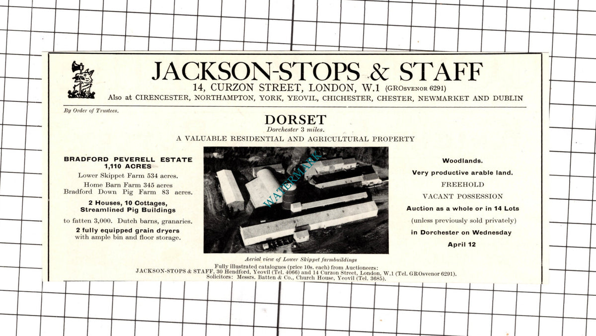 Bradford Peverell Estate Dorset House Sale Advert  - 1967 Cutting