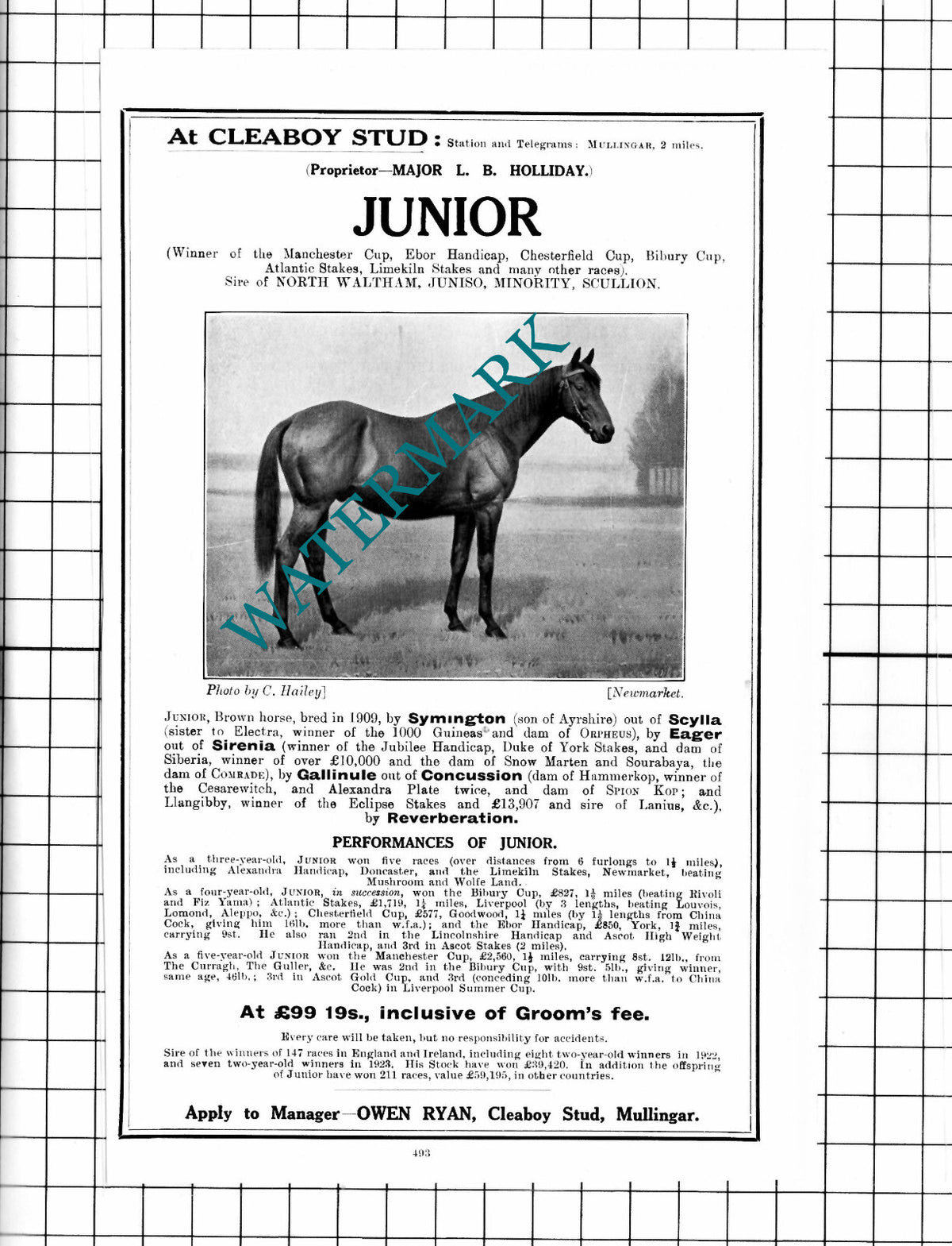 Major L B Holliday JUNIOR Horse Racehorse Cleaboy Stud Mullingar  - 1927 Advert