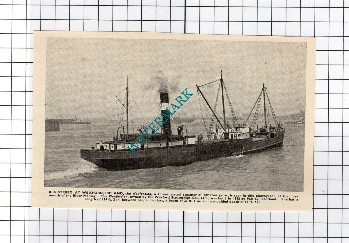WEXFORDIAN Steamer Ship Wexford Steamships Co Ltd   - c.1940's Cutting