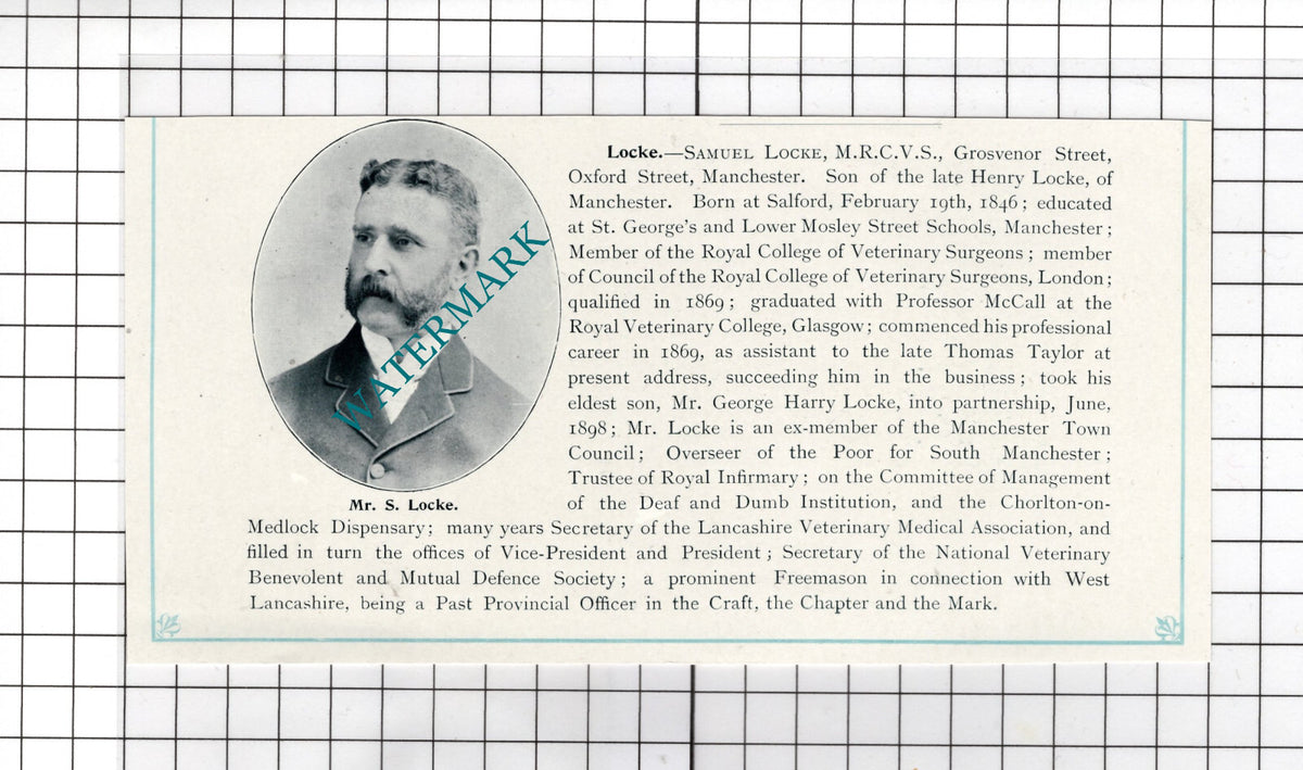 Samuel Locke Oxford Street Manchester Veterinary Surgeon - c.1900 Cutting