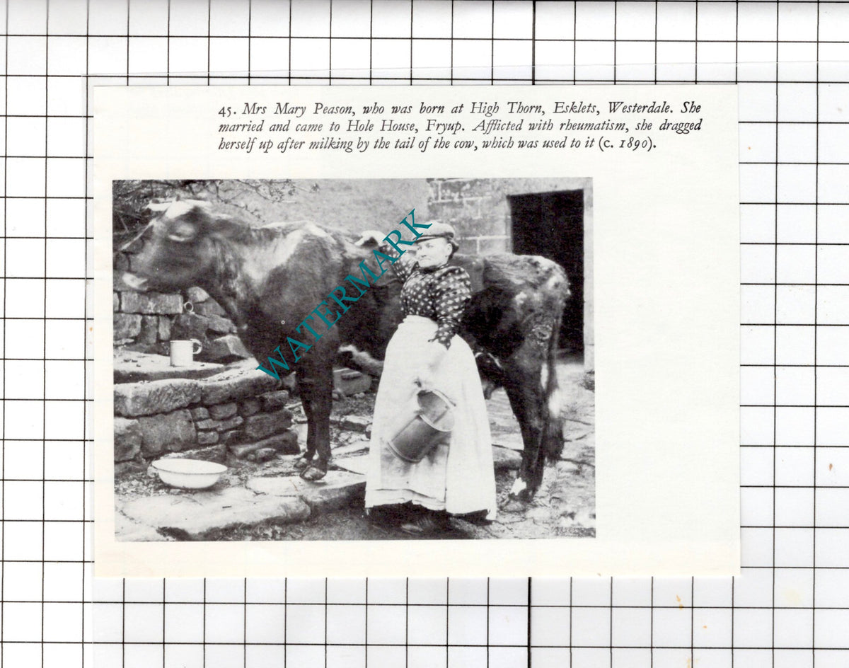 Mrs Mary Peason High Thorn Esklets Westerdale Yorkshire  Fryup -  Small Clipping