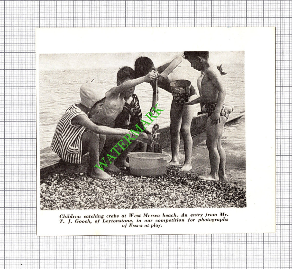 West Mersea Essex  - 1965 Small Cutting