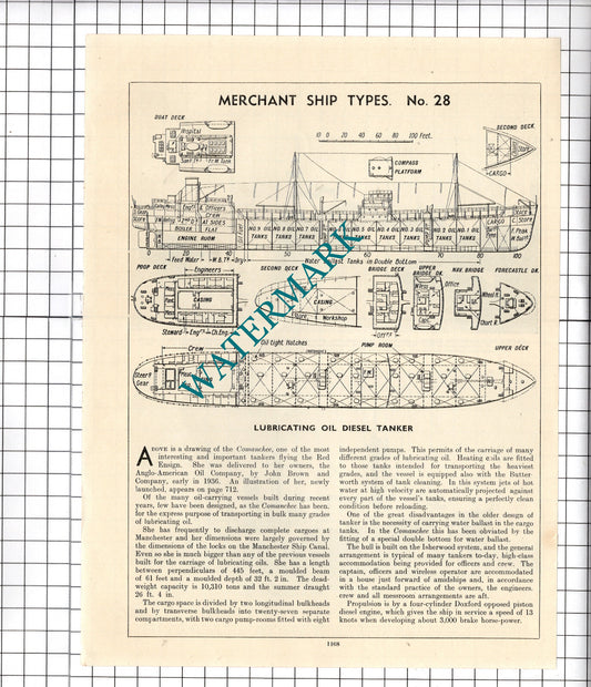 COMANCHEE Ship Diagram   - c.1940's Cutting / Print