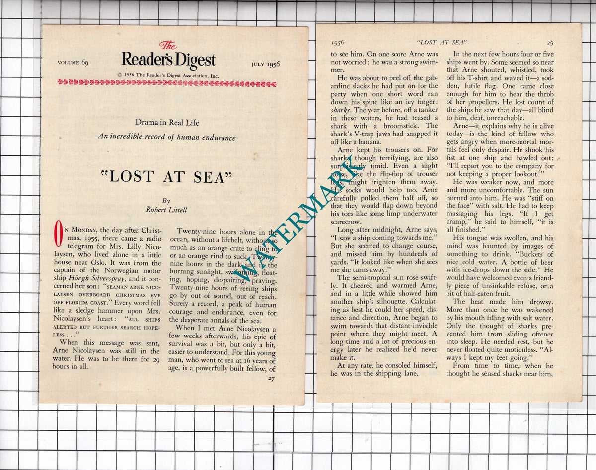 Arne Nicolaysen Lost At Sea Hoegh Silverspray Ship - 1956 Small Article