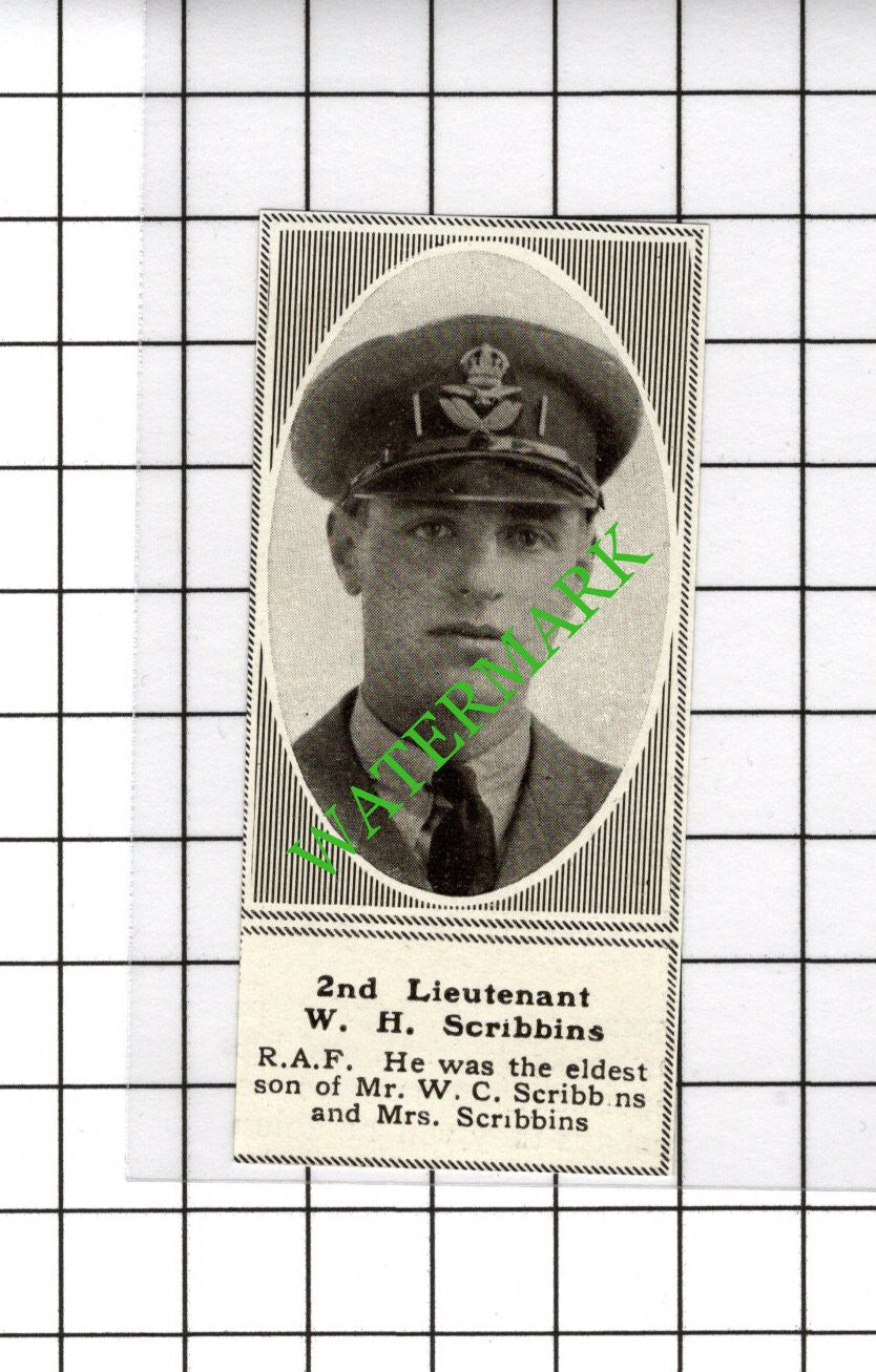 2nd Lt  W H Scribbins RAF Great War WW1 - 1918 SMALL Cutting