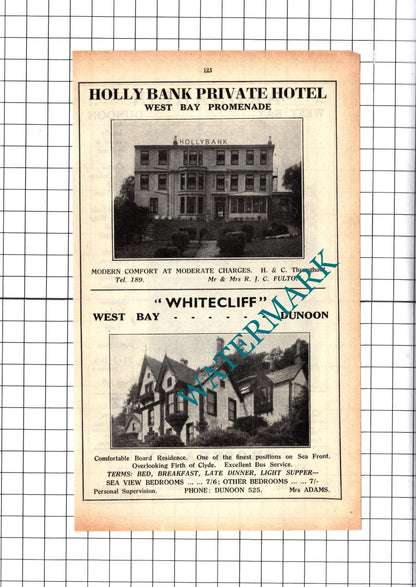 Ardnahein Dunoon Jack / Holly Bank Fulton Whitecliff Hotel Adams - 1939 Cutting