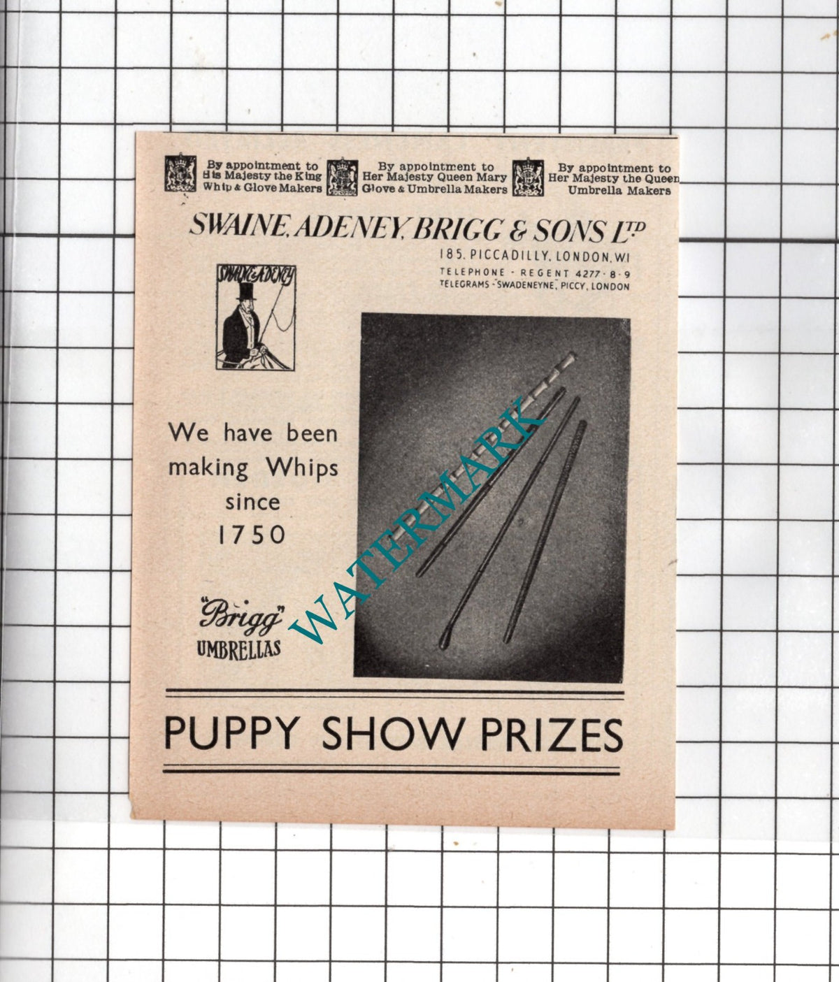 Swaine Adeney Brigg & Sons Ltd London -  1951 SMALL Advert