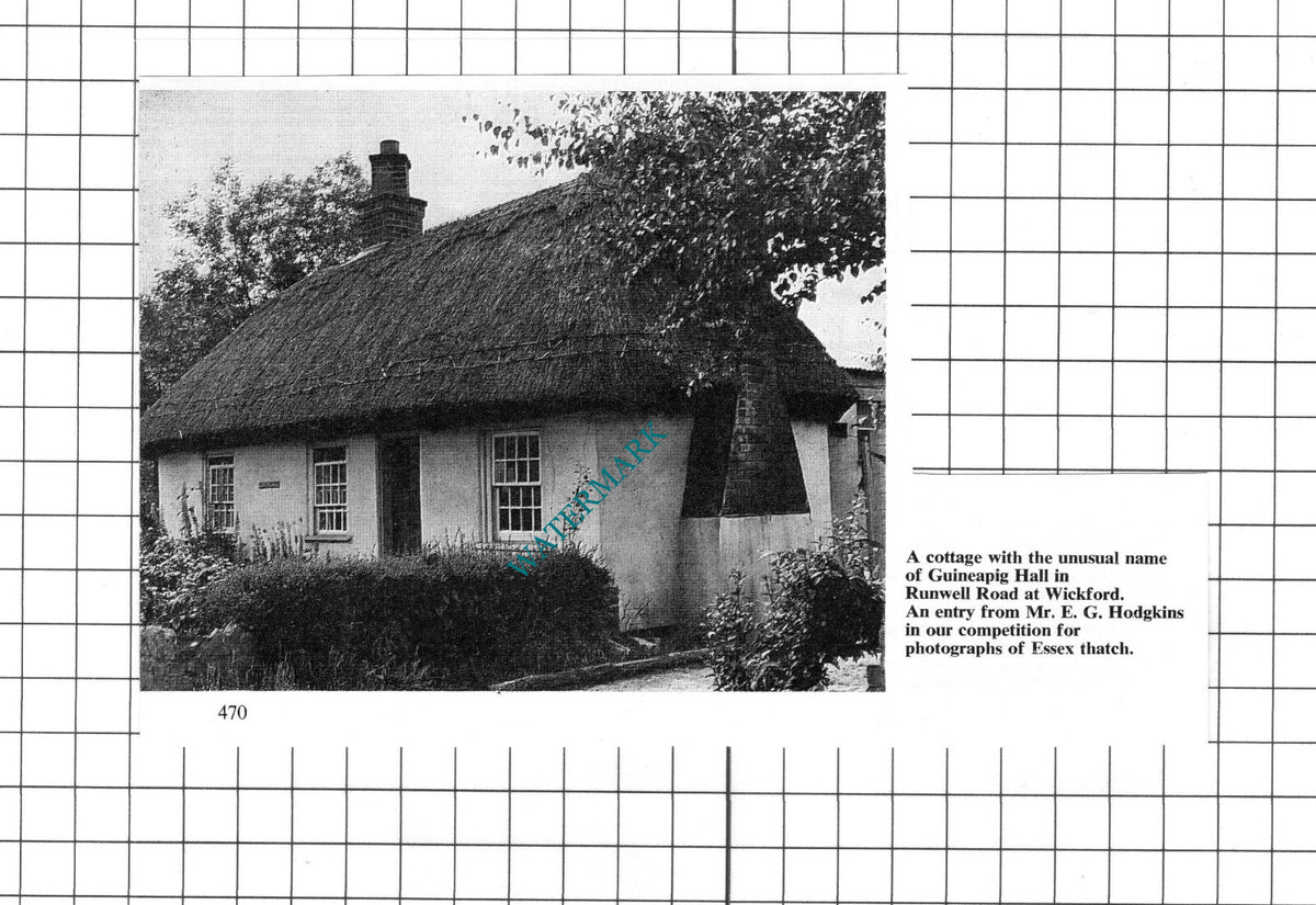 Guineapig Hall  Wickford Essex  - 1967 Clipping / Print