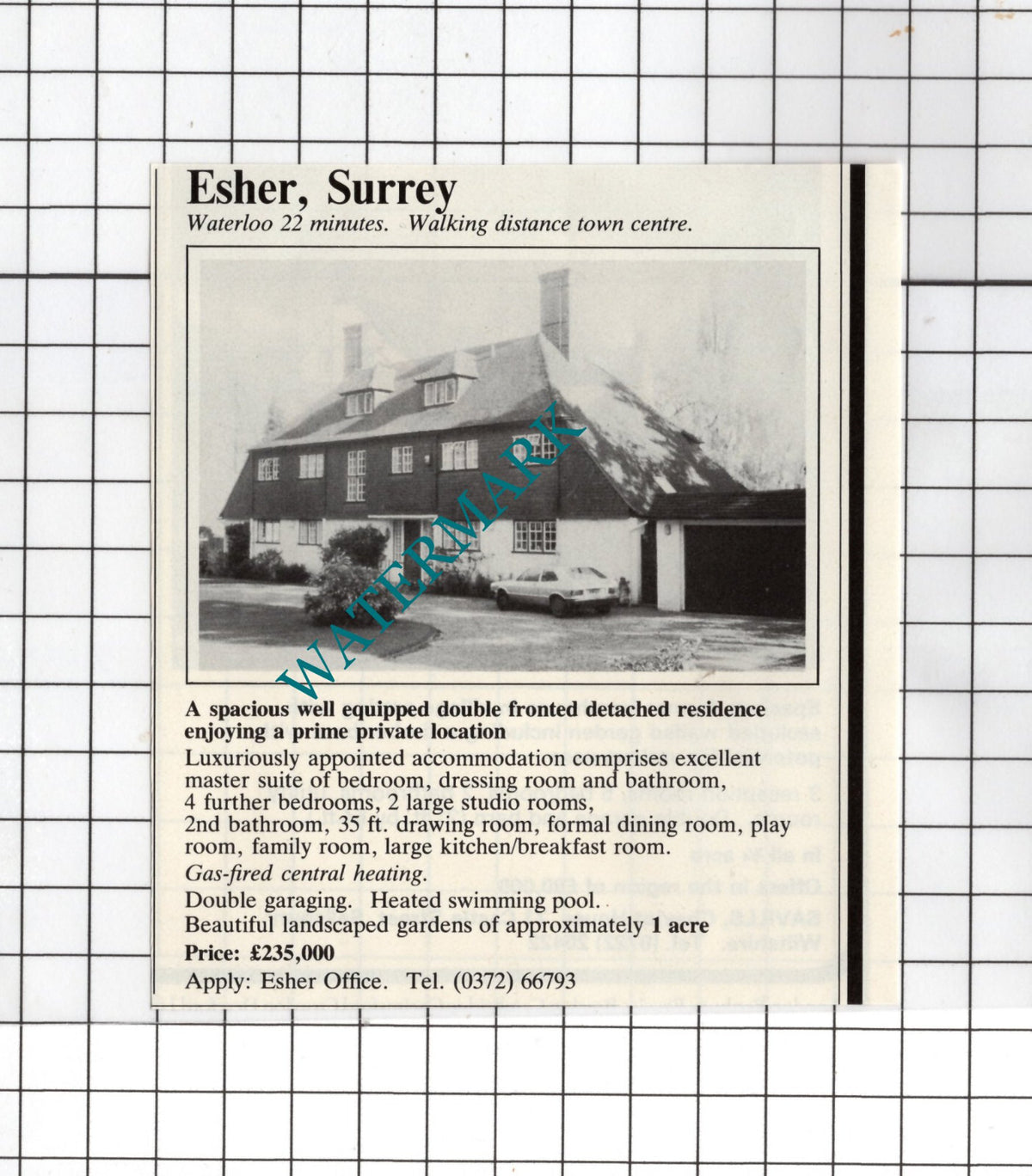 Esher Surrey House Sale Advert - 1981 Small Cutting