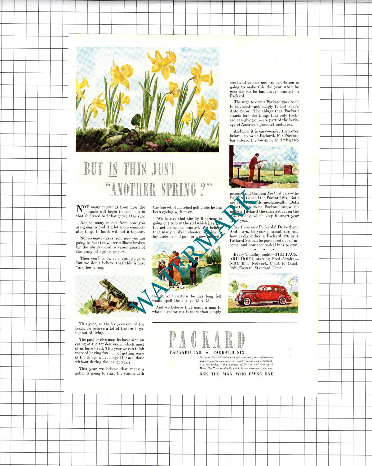 Packard Car Advert USA - 1937 Clipping / Print