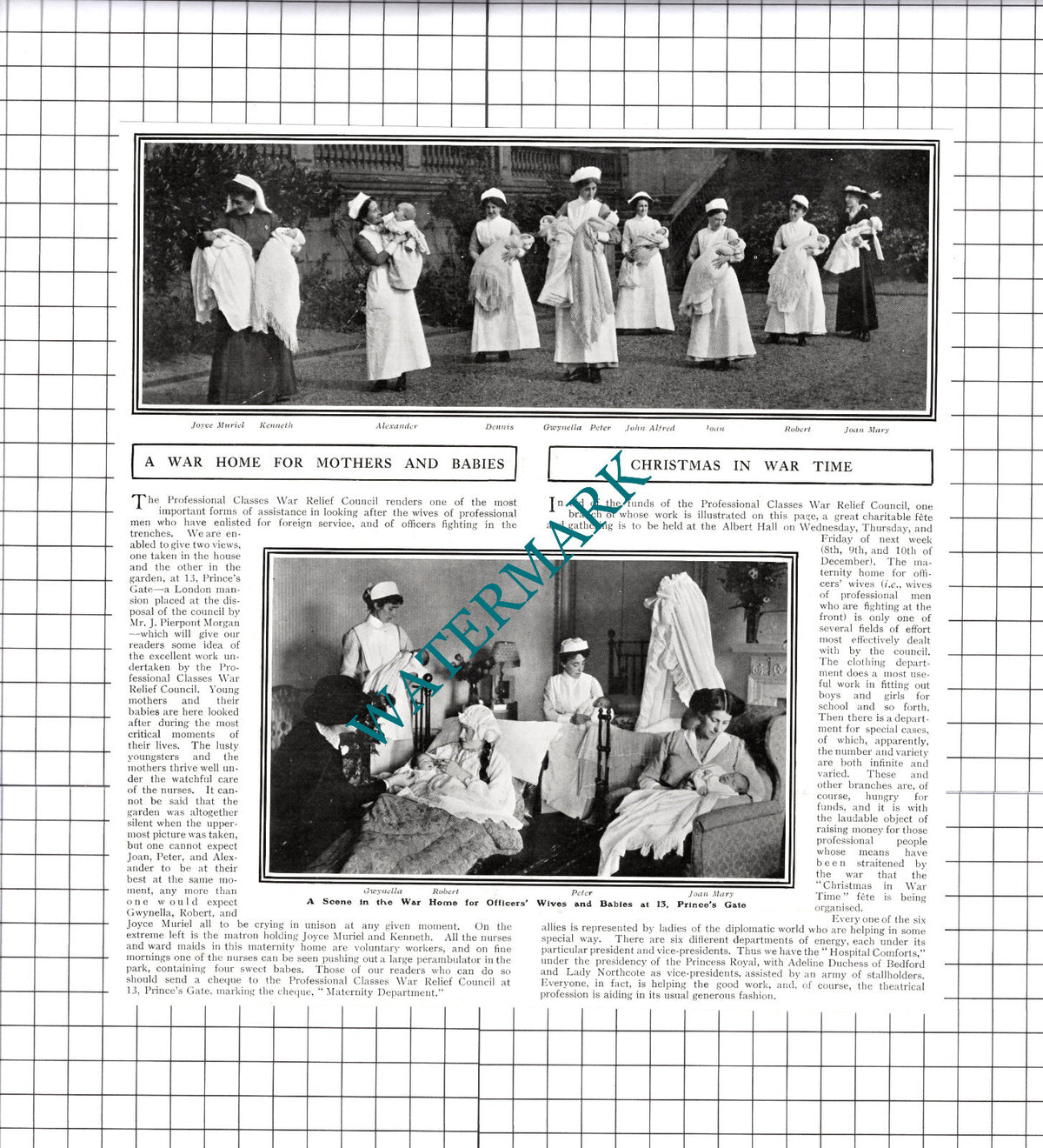 Professional Classes War Relief Council 13 Prince's Gate London - 1915 Cutting