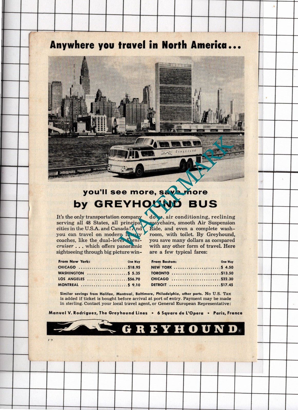 Greyhound Bus ADVERT - 1956 Small Clipping / Print