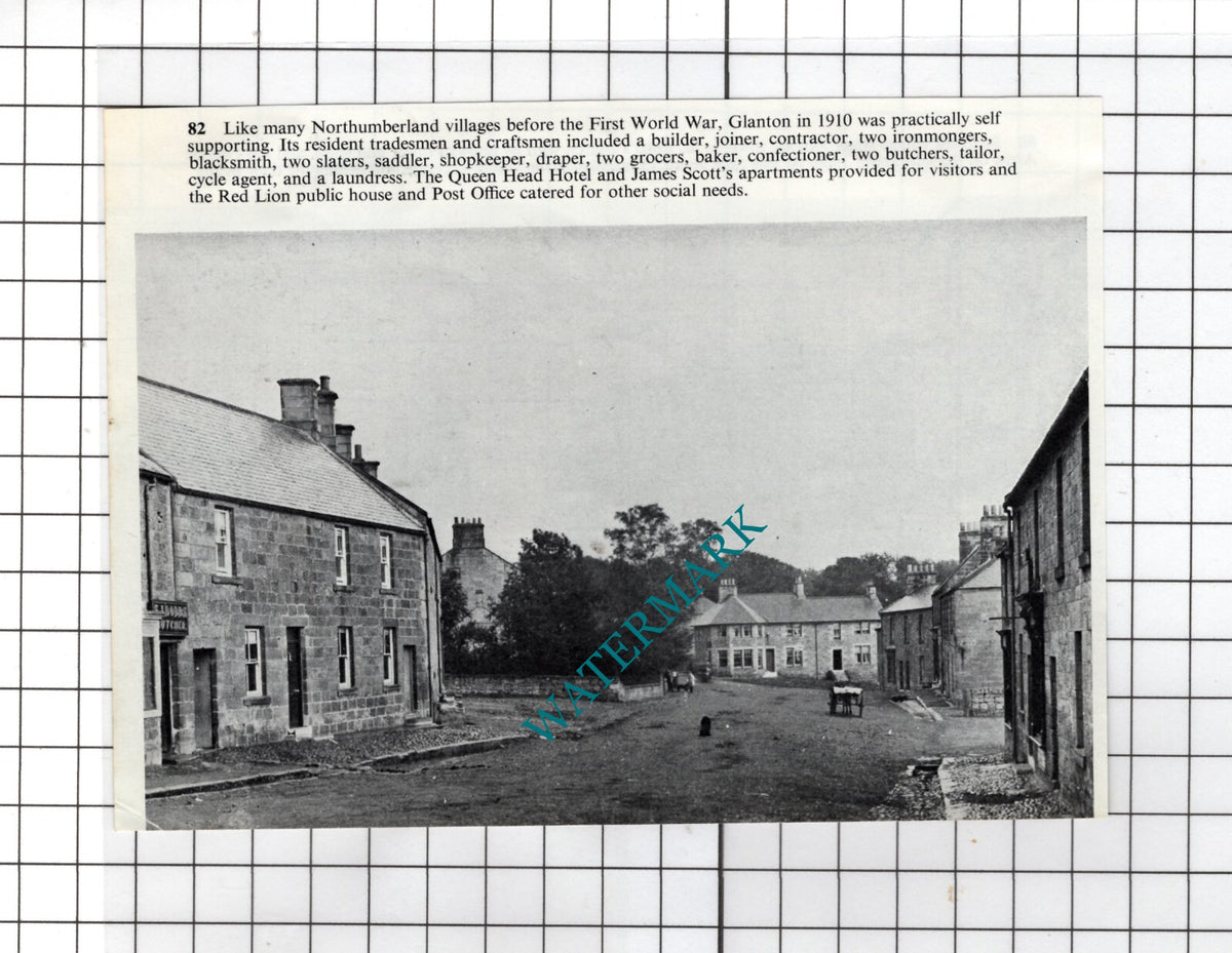 Glanton Northumberland   - Small Cutting