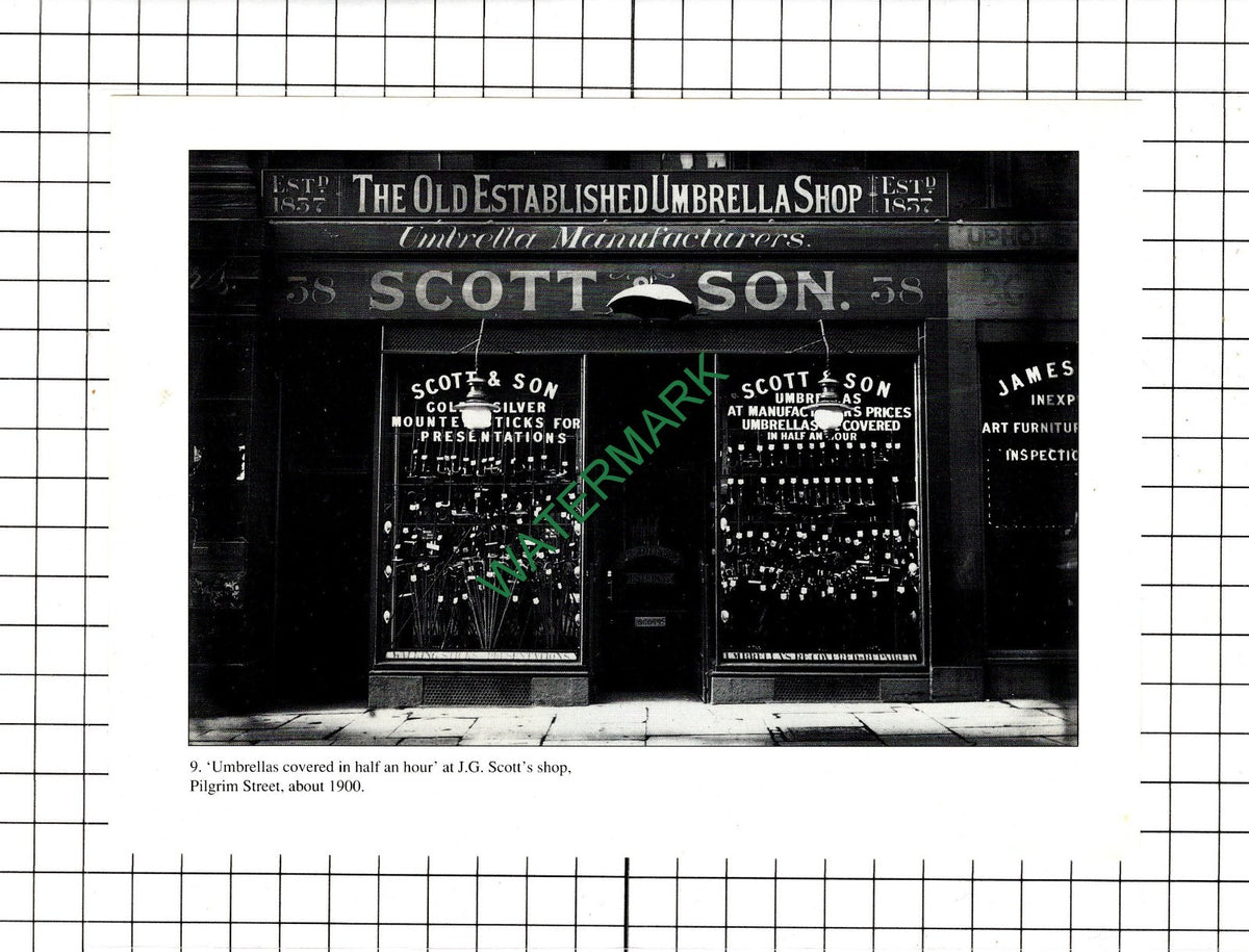 J G Scott & Son Newcastle Upon Tyne Umbrellas / Mrs Richardson Fruit   - Cutting
