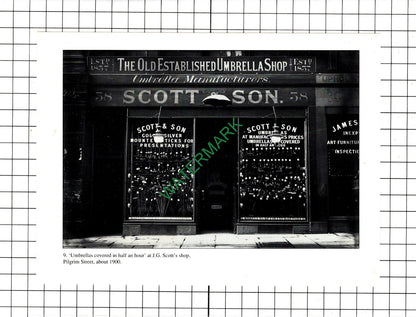 J G Scott & Son Newcastle Upon Tyne Umbrellas / Mrs Richardson Fruit   - Cutting