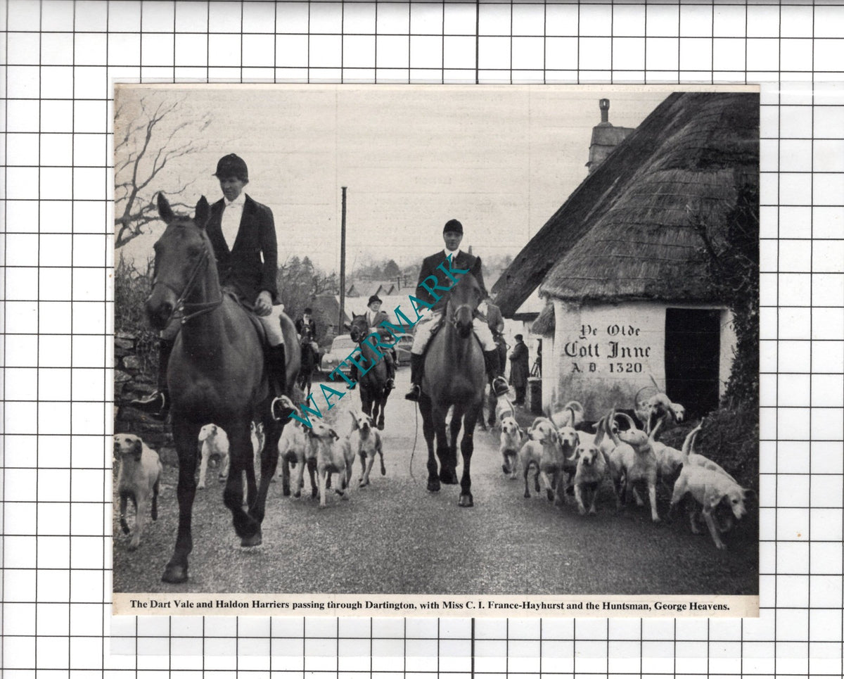 The Dart Vale and Haldon Harriers France-Hayhurst George Heavens - 1953 Clipping