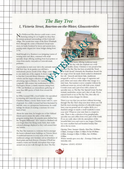 Marshmallow Moreton-in-Marsh Bay Tree Bourton-on-the-Water O'Neill c.2001 Advert