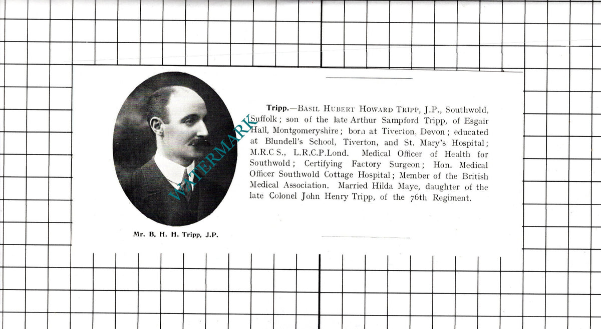 Mr Basil Hubert Howard Tripp Southwold Suffolk - 1911 Clipping
