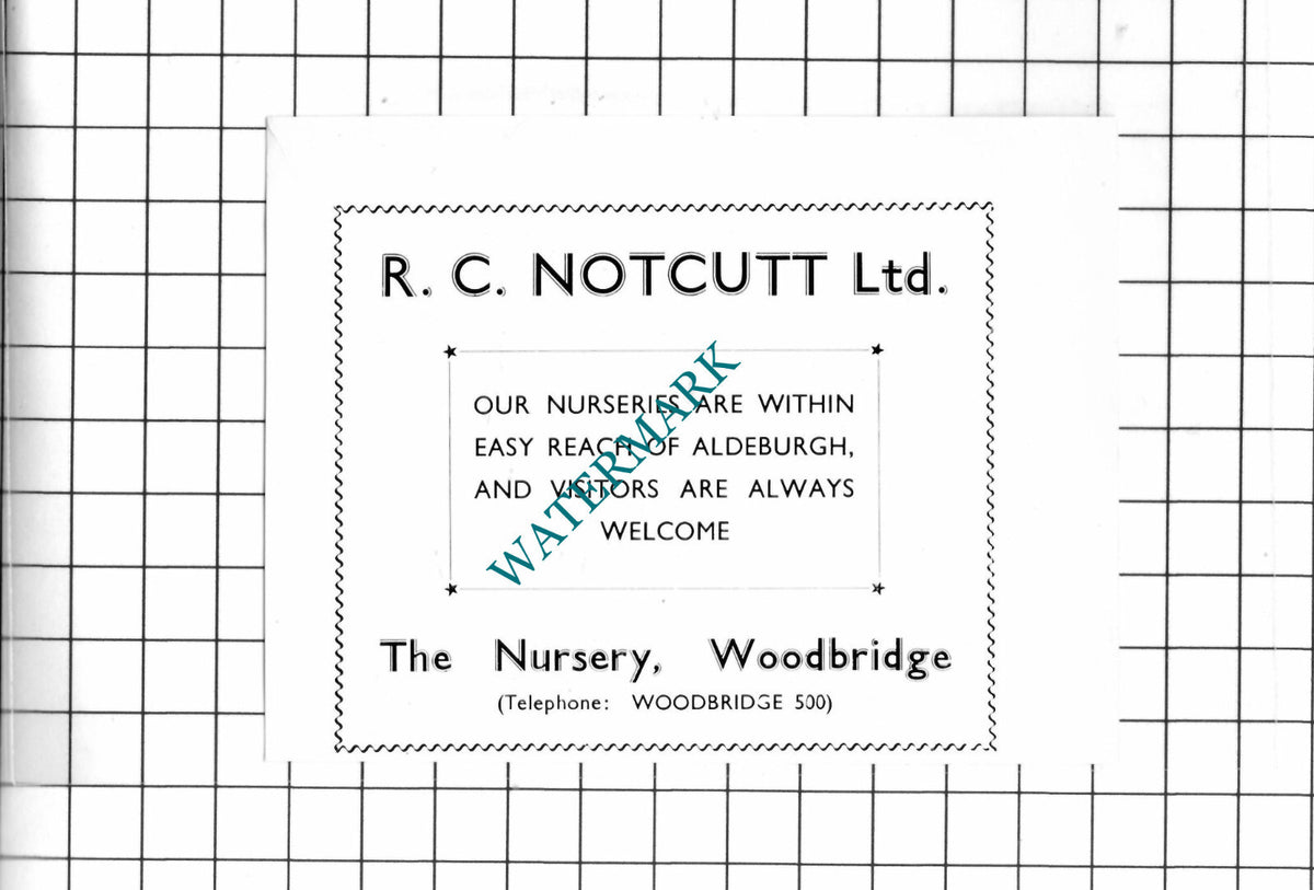 William Brown & Co Ipswich Suffolk / R C Notcutt Woodbridge  - 1952 Small Advert