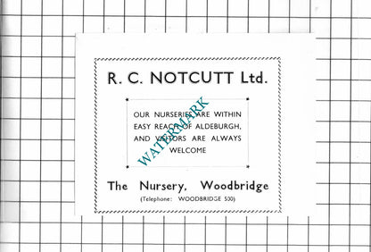 William Brown & Co Ipswich Suffolk / R C Notcutt Woodbridge  - 1952 Small Advert
